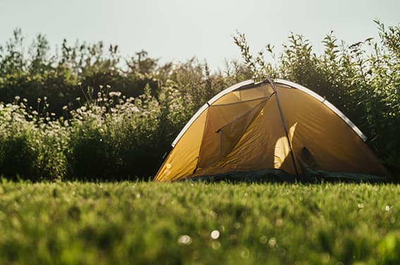 Camping Perroquet - Passage / nuit